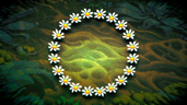 Floral Fixation
