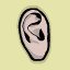Ear