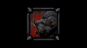 Rat