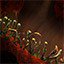 Research:  Fertile Terrain