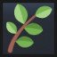 Herb