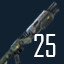 Shotgun expert
