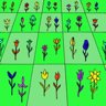 Burlington Trophy: Tegan's Garden