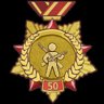 Lone Gunner Medal