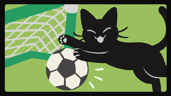 Back Of The Net