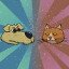 Raining Cats and Dogs