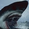 We need a bigger boat!
