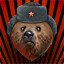 Comrade Yogi