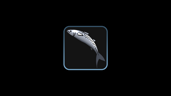 100 tons Mackerel