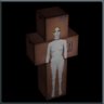 Meet the mannequin.