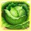 The royal supplier of veggies