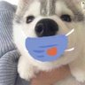 打通第13关