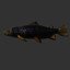 Trout