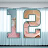 12 level completed