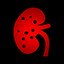 Lupus Nephritis