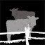 Cows of Vakul