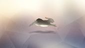 Hare Today