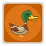 Quacks of freedom