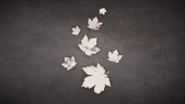 Before the Leaves Fall