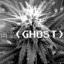 Ghost High