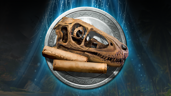 Veteran Paleontologist