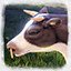 Veteran Rancher
