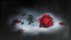 The Rose's Memory