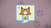 Feed your cat
