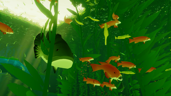 Food Chain
