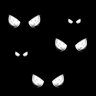 Night Vision