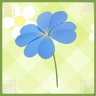 Hopeful Clover