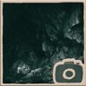 Forest cave