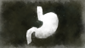 Don't Starve
