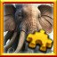 Elephantopus Complete!