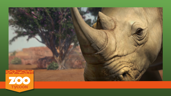 Conservationalist
