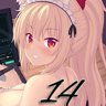 Level 14