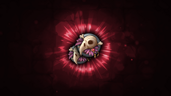Skull Hobbyist