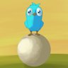 Birdie Master