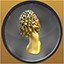 Golden Morel Indiana Country