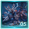Cryptic Cameo