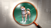 Who's a Good Boy?