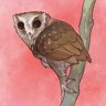 Owl Hands On Deck