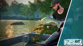 Tench Boss