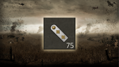 Veteran
