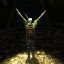  Praise the Sun