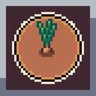 Onion Planter