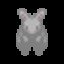 Bunny Bunny!
