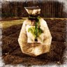 True Farmer