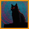 Nine Lives