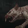 What is that?